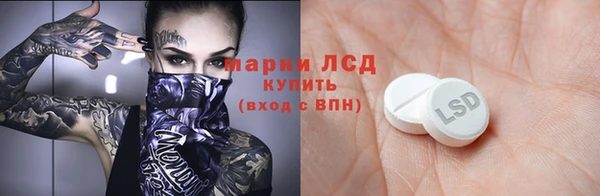 ГАЛЛЮЦИНОГЕННЫЕ ГРИБЫ Алексеевка