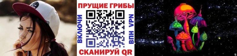 что такое наркотик  Мамоново  Псилоцибиновые грибы GOLDEN TEACHER 