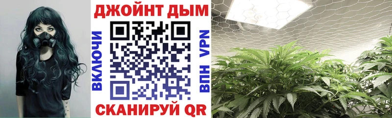 Канабис VHQ  блэк спрут   Мамоново  где можно купить  